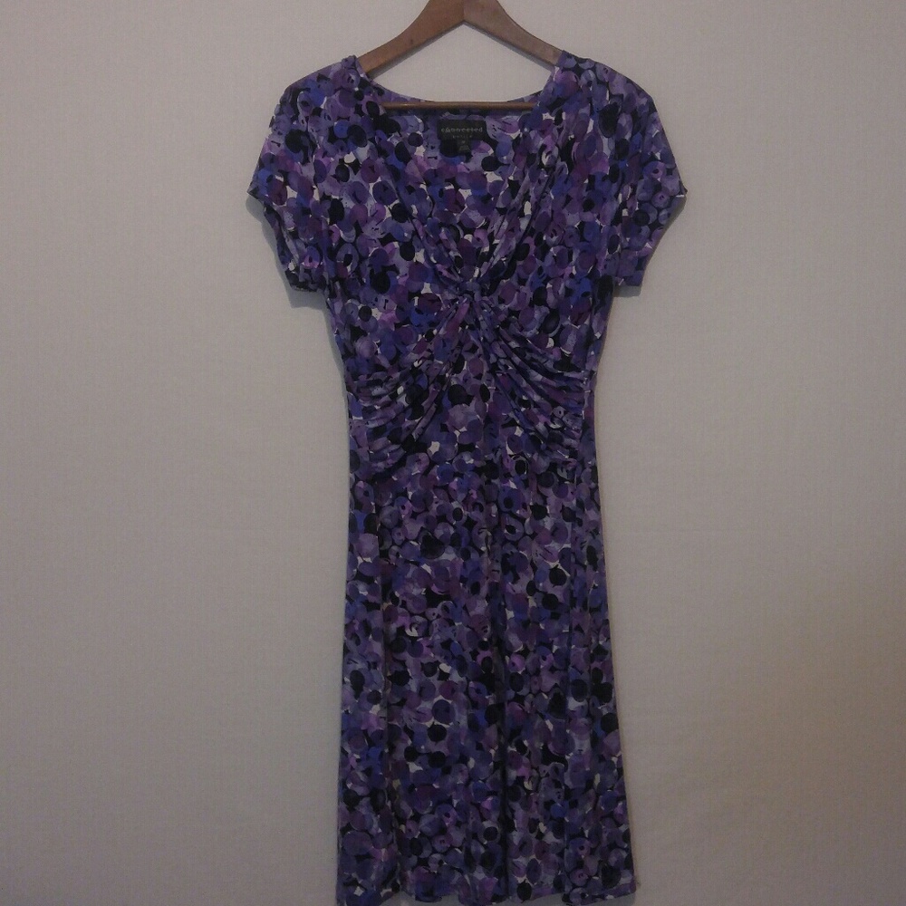 Connected Purple Dress Size 8p